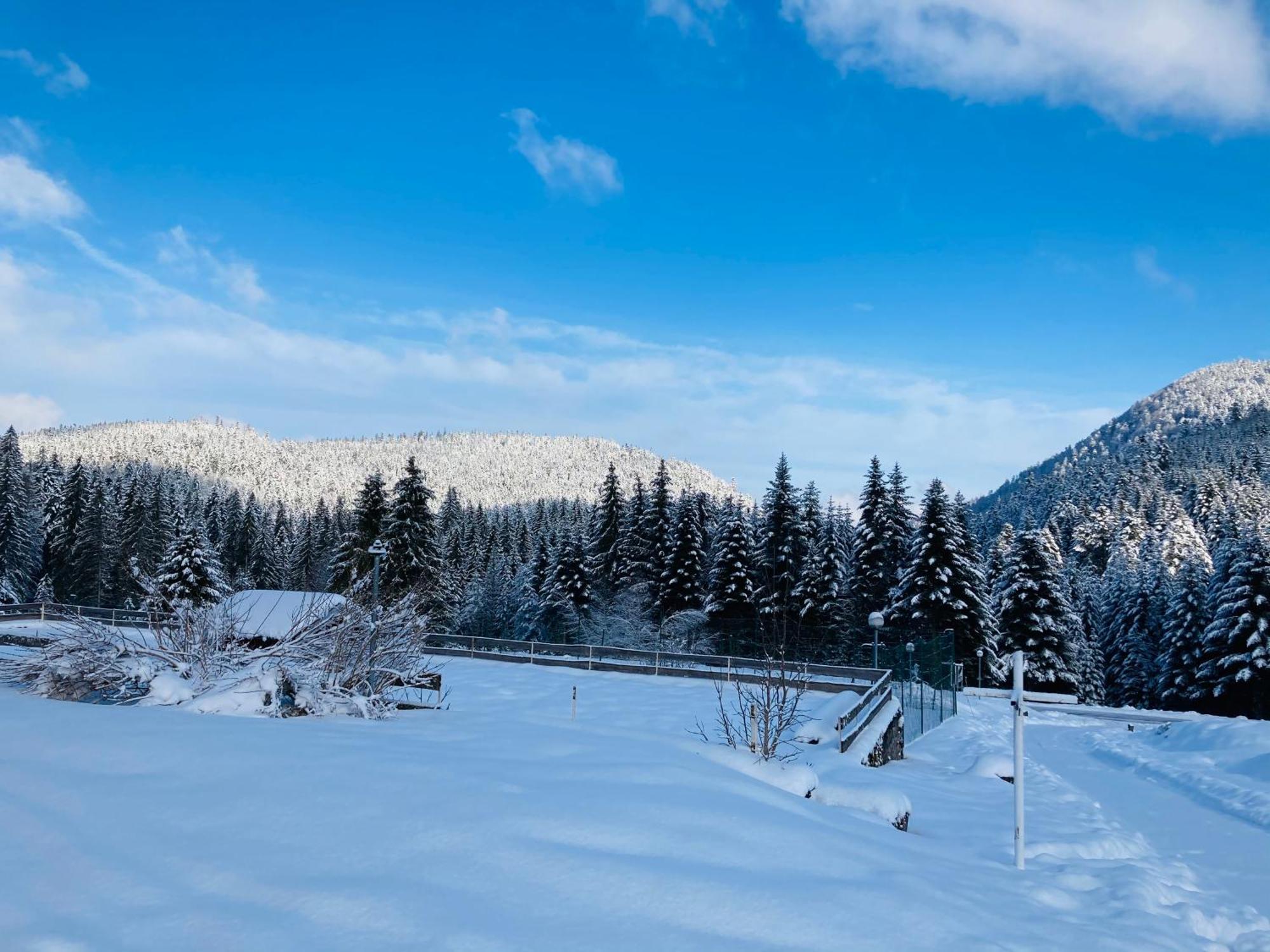 Le Perchoir Du Grand Valtin - Gite 5 Personnes - Altitude 830 Ban-sur-Meurthe-Clefcy ภายนอก รูปภาพ
