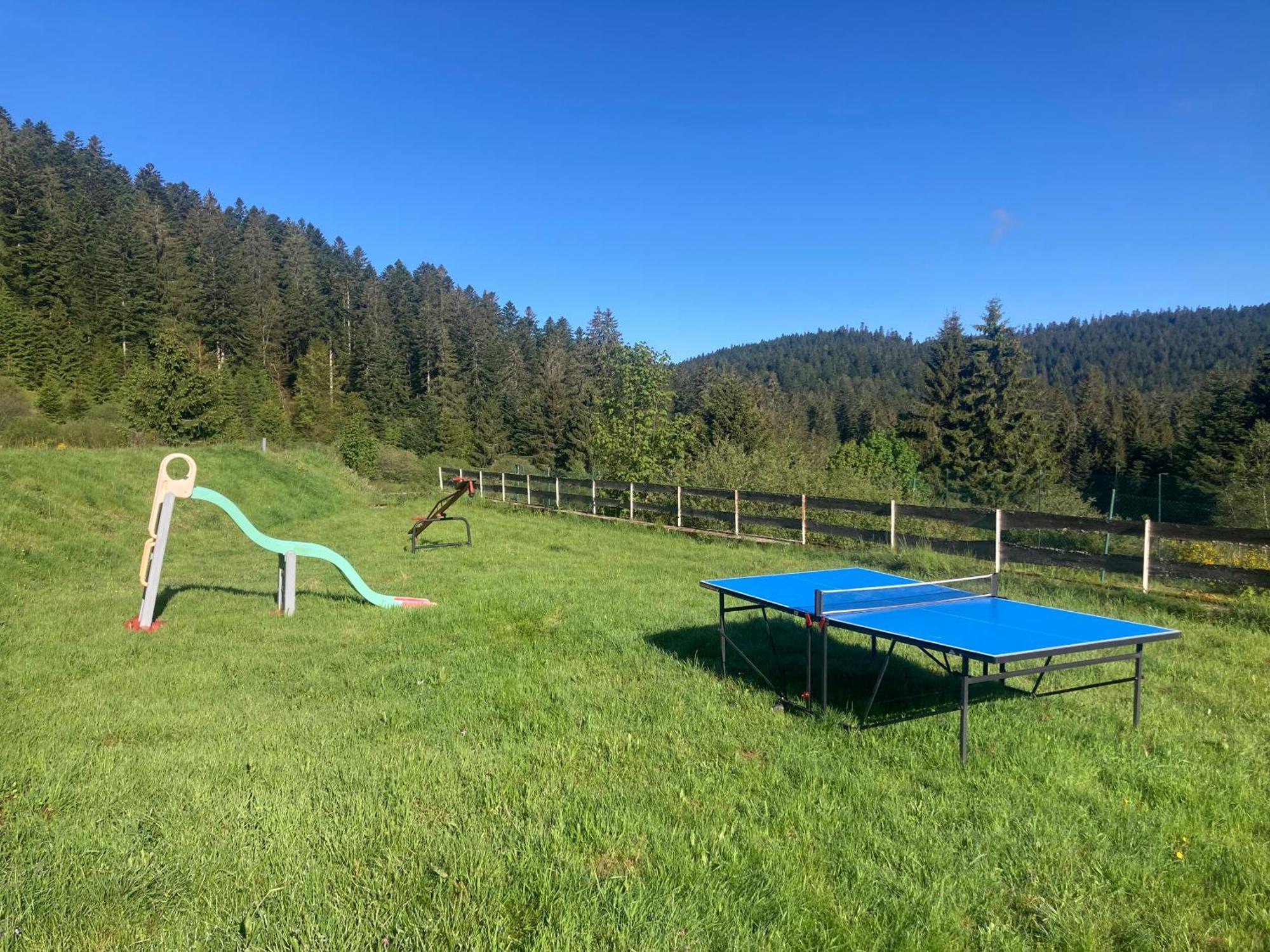 Le Perchoir Du Grand Valtin - Gite 5 Personnes - Altitude 830 Ban-sur-Meurthe-Clefcy ภายนอก รูปภาพ