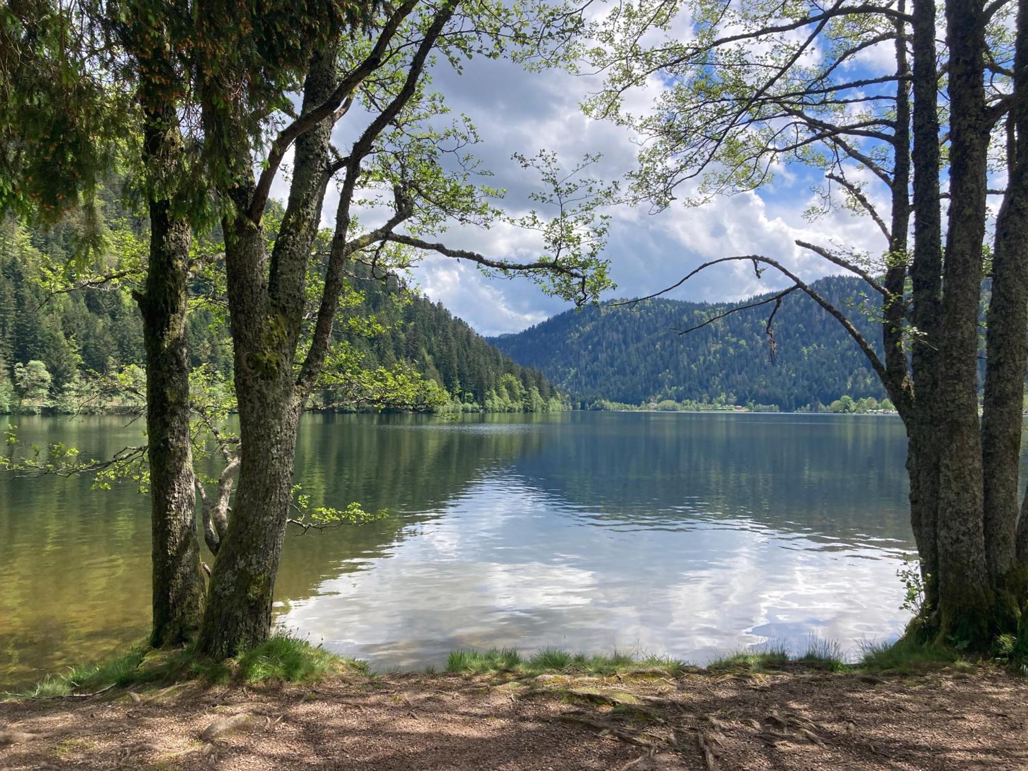 Le Perchoir Du Grand Valtin - Gite 5 Personnes - Altitude 830 Ban-sur-Meurthe-Clefcy ภายนอก รูปภาพ